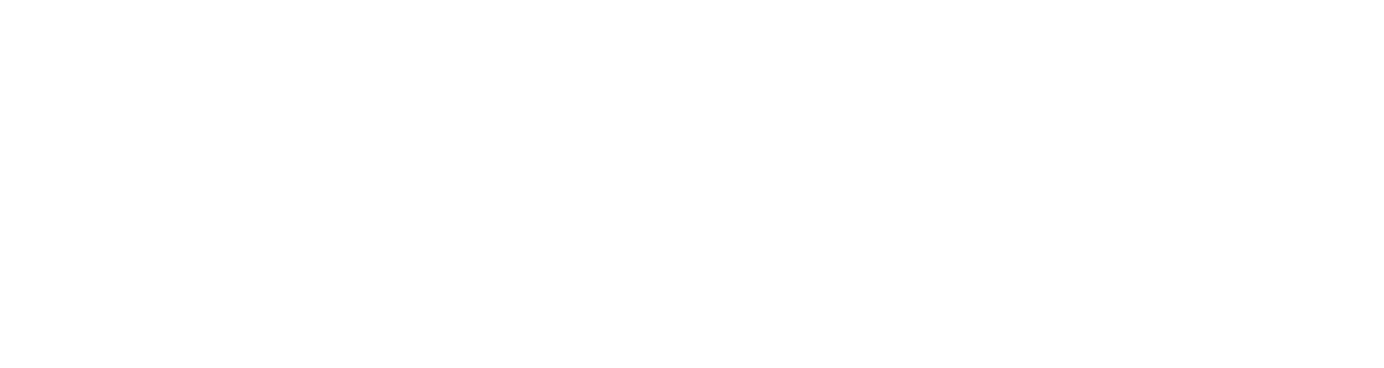 Brainie Studio